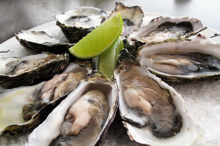 1024px-Pacific_oysters