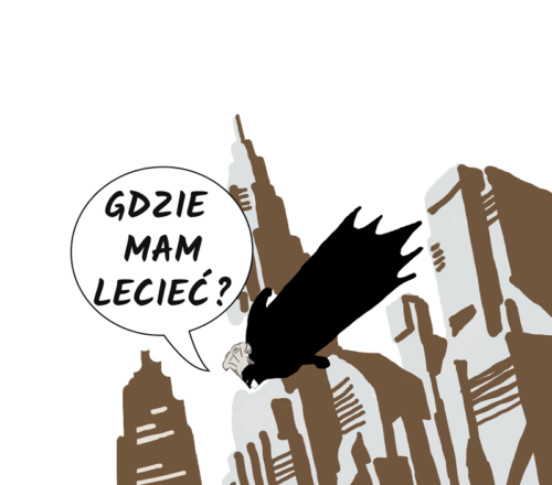 oddziały